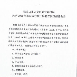 2021河北邢臺(tái)市信都區(qū)招聘融媒體中心工作人員10名公告