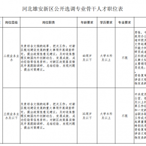 河北雄安新區(qū)選調專業(yè)骨干人才13名公告