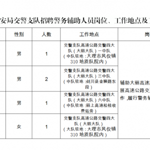 云南大理州公安局交通警察支隊招聘警務輔助人員公告（5人） ...