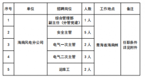 13人！國(guó)家電投集團(tuán)黃河公司海南風(fēng)電分公司招聘